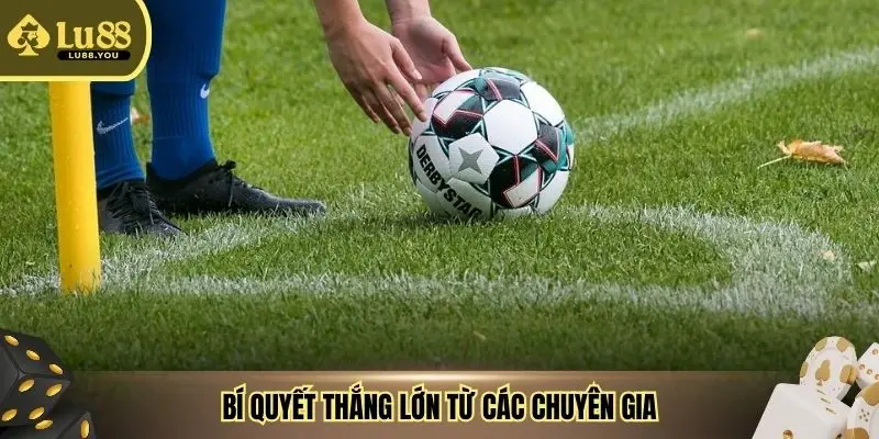 Bí quyết thắng lớn từ các chuyên gia